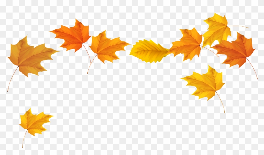 Fall Clip Art - Fall Leaves Transparent Background #278800