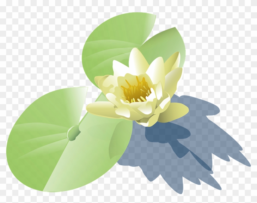 Lily Pad Clipart Lotus Plant - Lily Pad Clip Art #278816