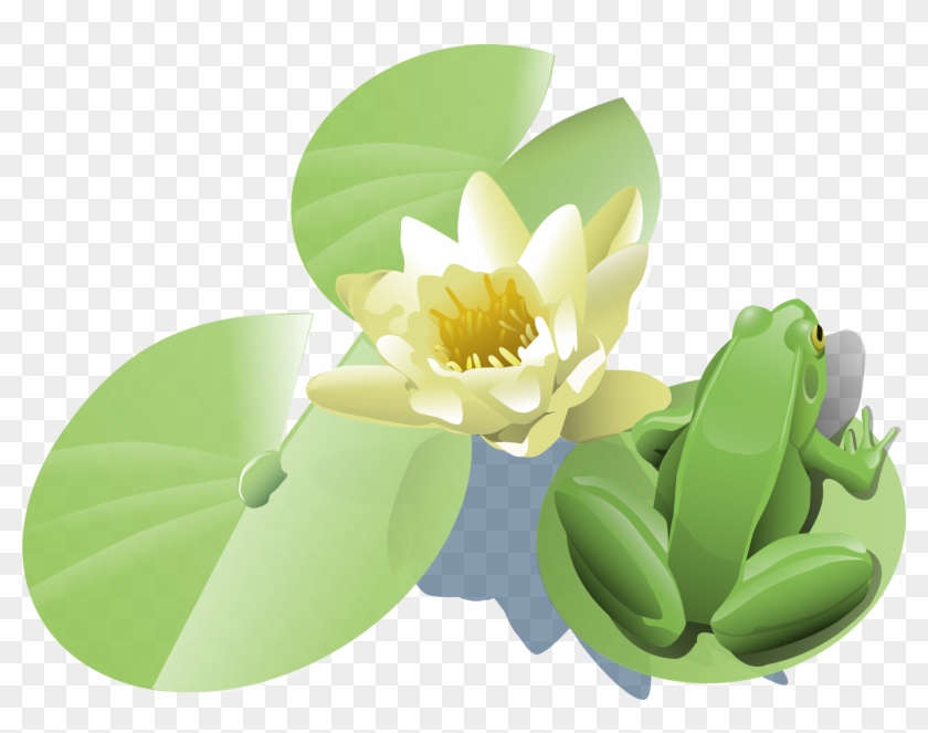 Lily Pad Clipart Aquatic Plant - Lily Pad Clip Art #278817