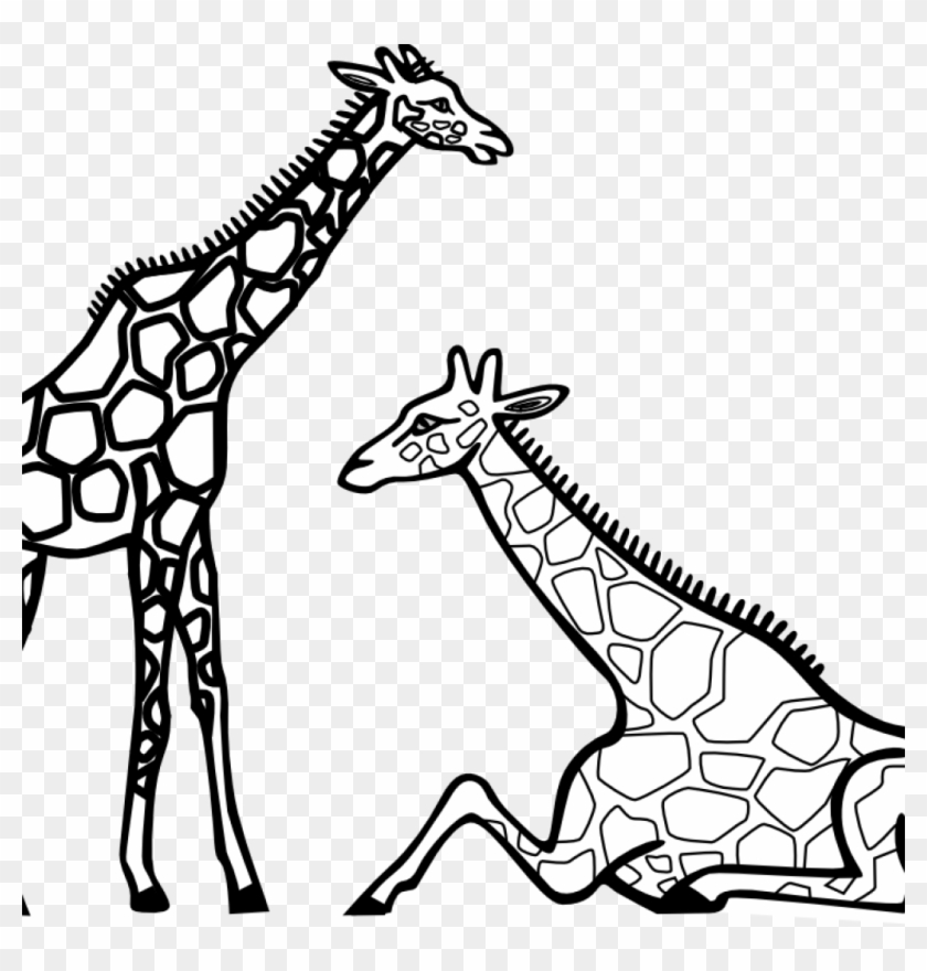 Giraffe Clipart Black And White Giraffe Clipart Black - Giraffe Colouring Page #278820