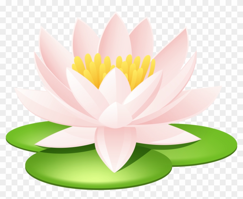 Water Lily Transparent Png Image - Water Lily Transparent Png Image #278851