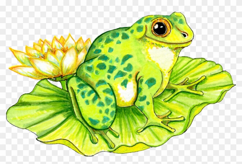 Frog On Lily Pad Clipart - Frog On Lily Pads #278879
