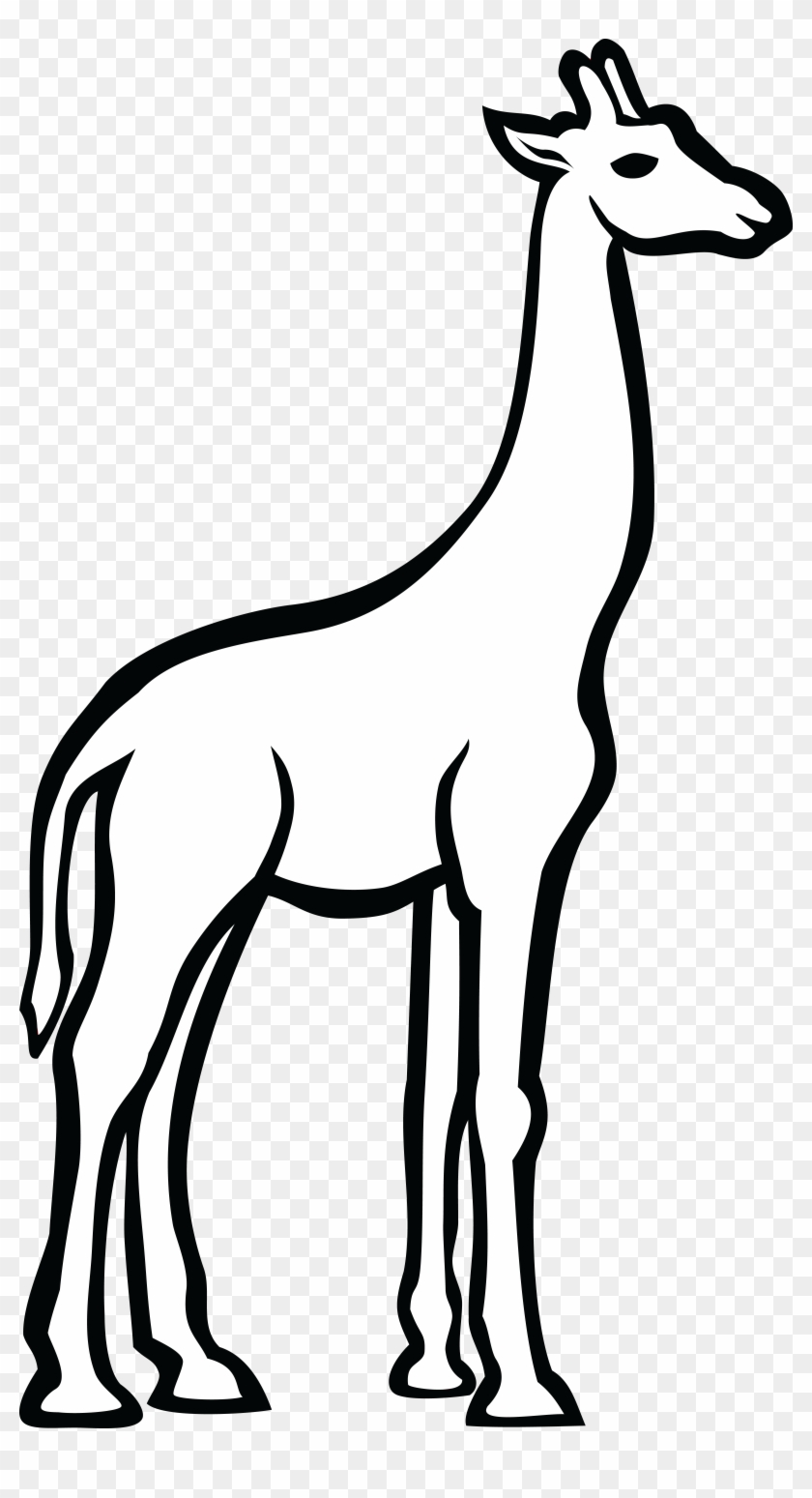 Free Clipart Of A Giraffe - Black And White Line Drawing Giraffe Png #278888
