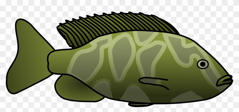Giraffe Cichlid - Clipart Fish In Lake #278917
