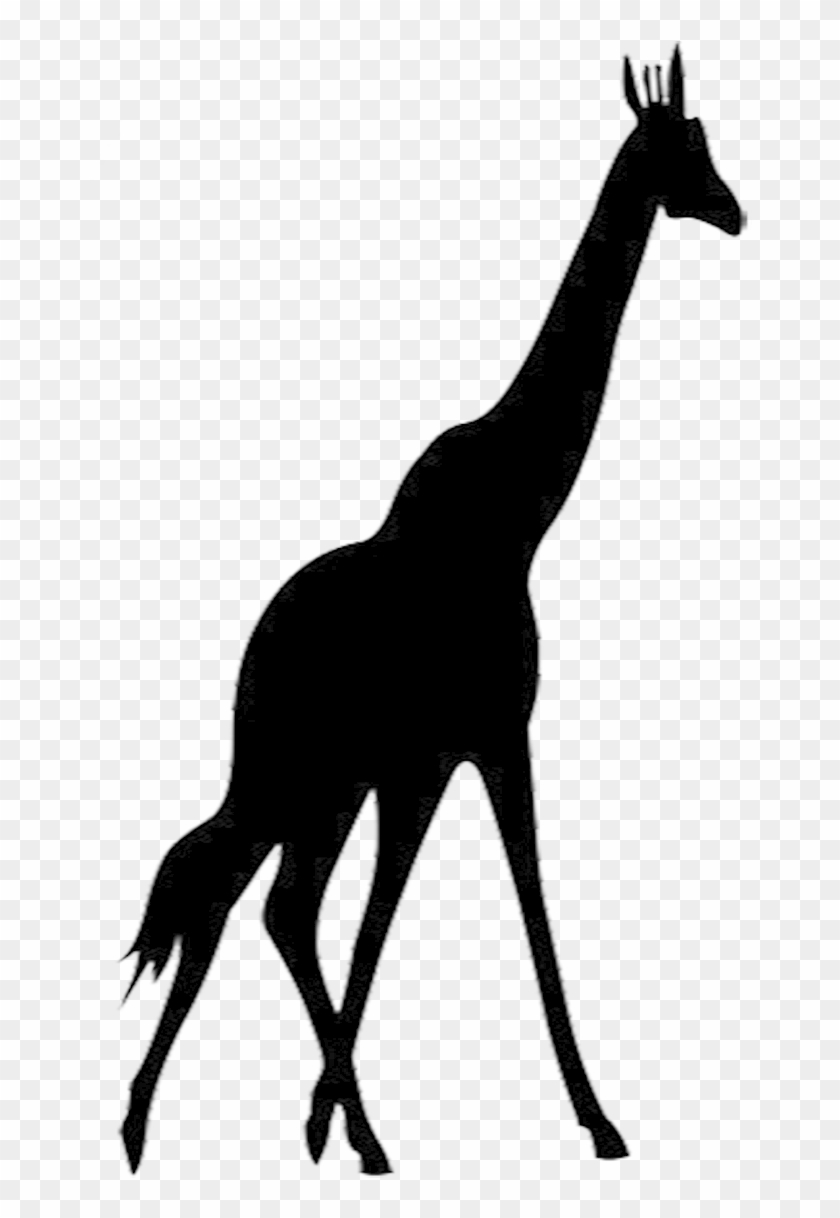 High Quality Animal Silhouettes, 120 Silhouette Clip - Transparent Clip Art Giraffe Silhouette #278932