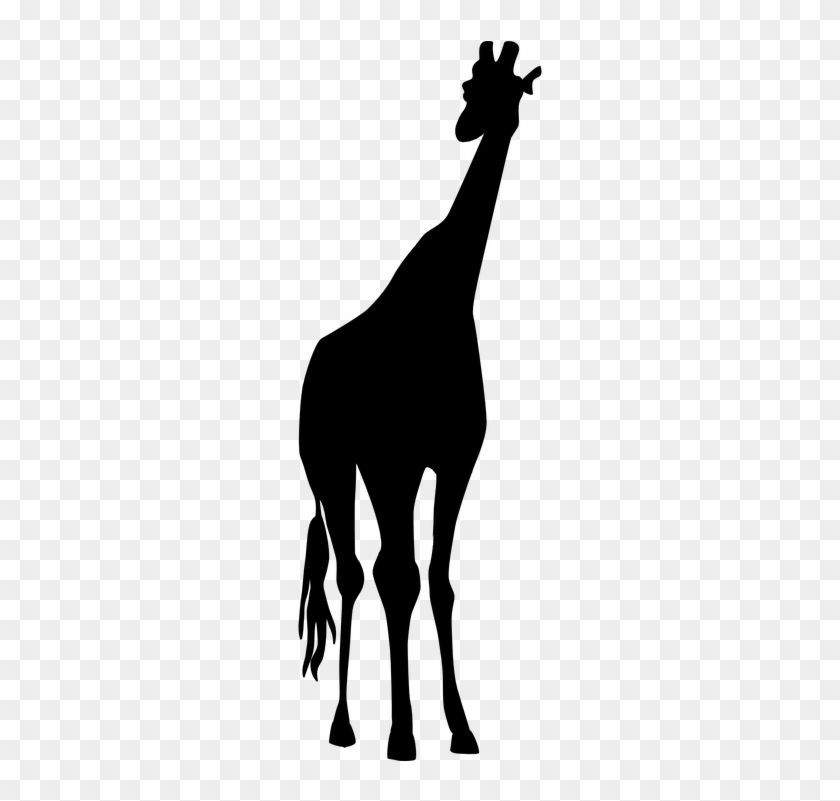 Giraffe - Giraffe Black Png #278938