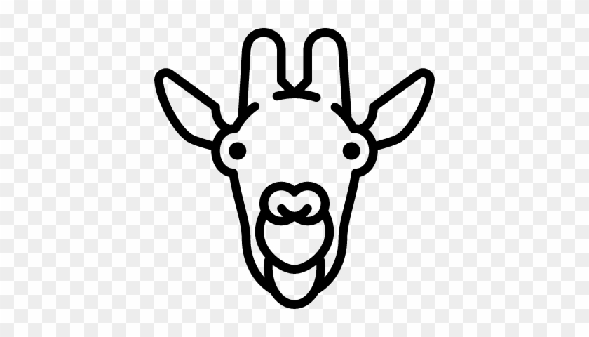 Giraffe Head Vector - Giraffe #278960