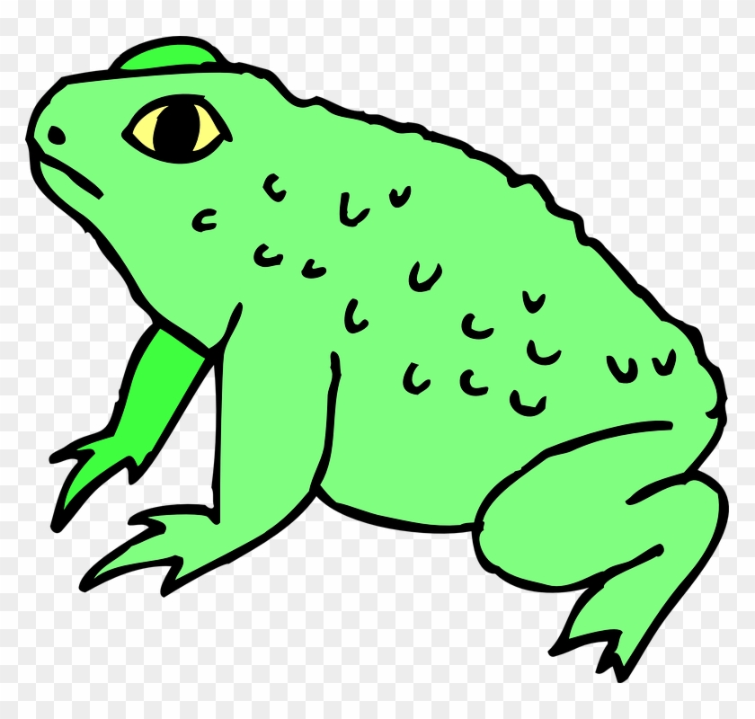 Frog On Lily Pad Clipart 19, - Clipart Of A Toad #278970