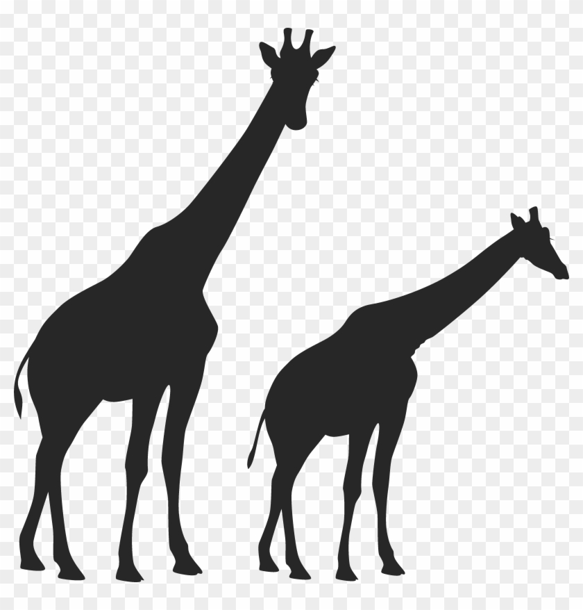 Two African Giraffes - Silhouette #278990