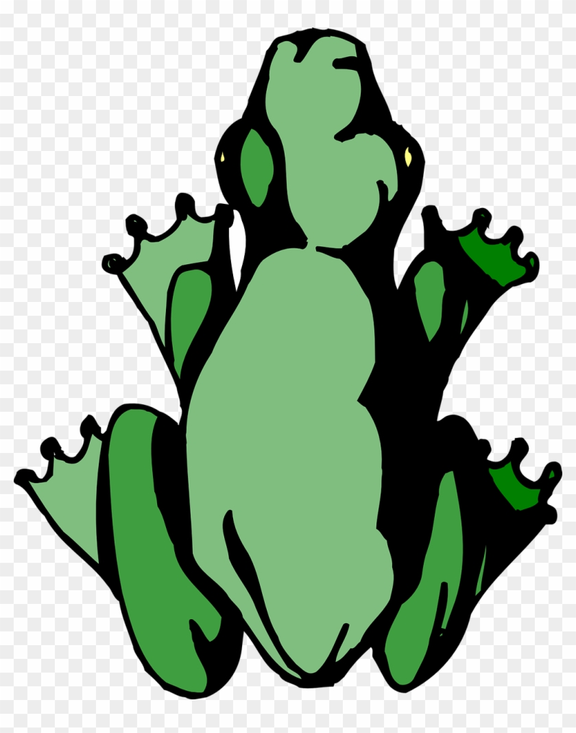 Lily Pad Cartoon 25, Buy Clip Art - Cartoon Frog Birds Eye View #278995