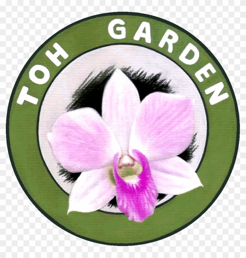 Toh Garden #279208