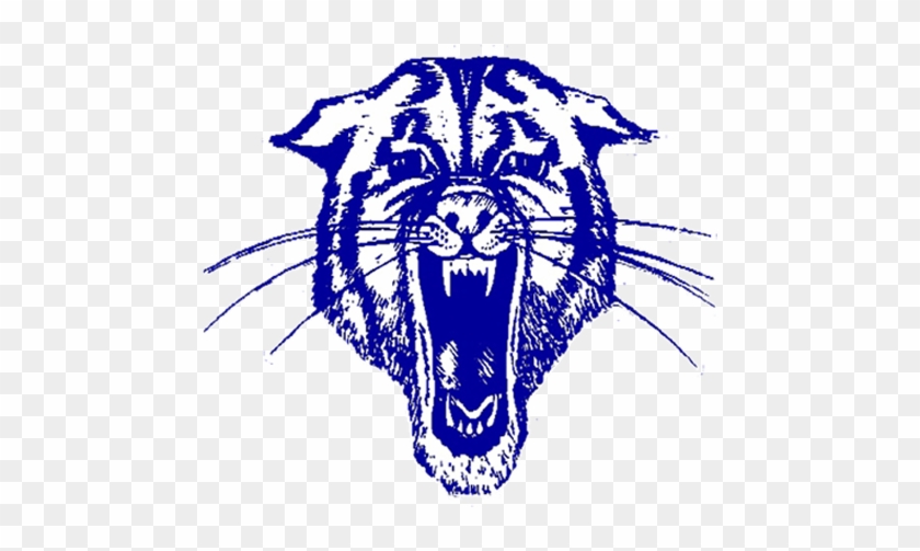 Wildcat Clipart Hector - Hector Wildcats #279311