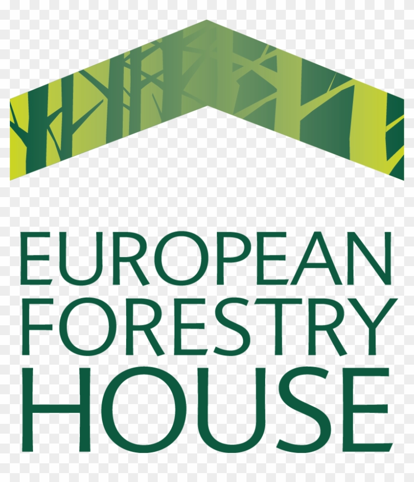Efh Logo Ok - European Forestry House #279385