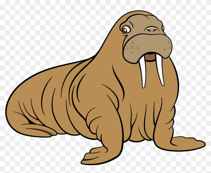 Walrus Sea Lion Dog Cartoon - Cartoon Sea Lion #279644