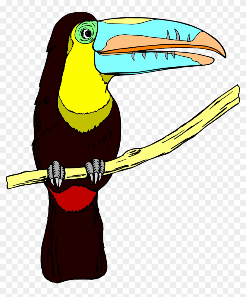 There Is 20 Antique Bird Free Cliparts All Used For - Toucan Clipart No Background #279829