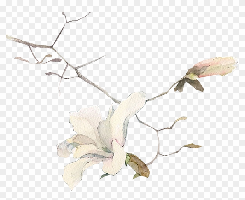 Drawing Watercolor Painting Art Illustration - Drawing Watercolor Painting Art Illustration #280185