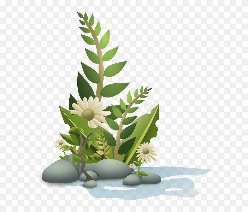 Flower, Plant, Tropical, Nature, Garden, Summer, Floral - Plants Clipart Png #279997