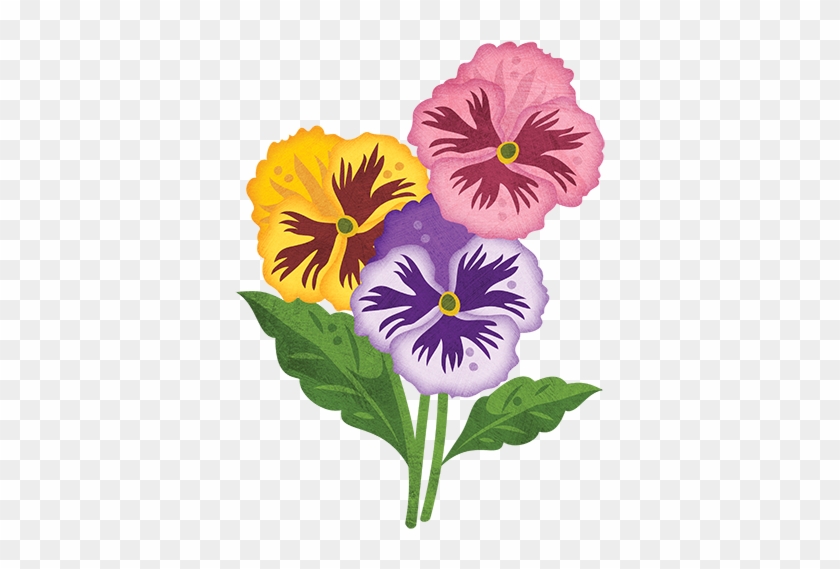 Pansy Clipart Gardening - Pansy #280000