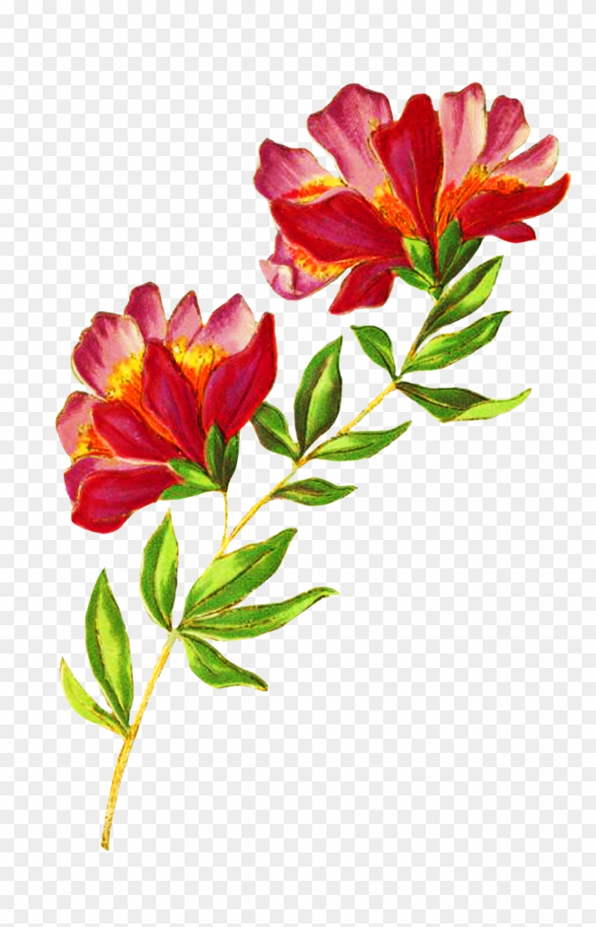 Digital Scrapbooking Flowers - Greeting Card #280008