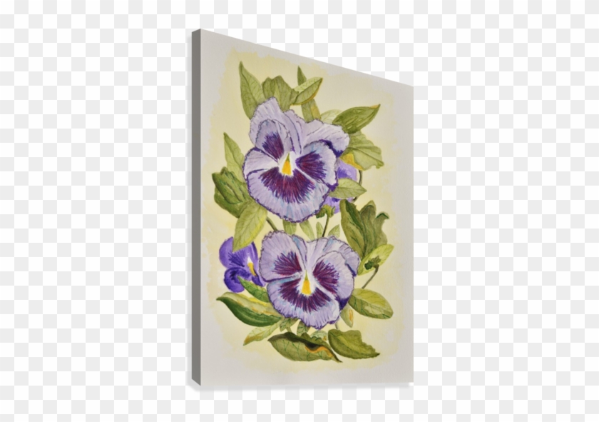 Purple Pansies Canvas Print - Zwei Lila Stiefmütterchenwatercolor-grußkarte Karte #280026