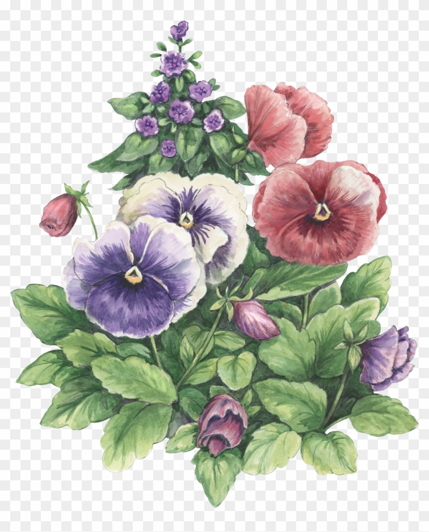 Photoshop, Papo, Decoupage, Pictures Of Flowers, Colouring - Potted Plants Watercolor #280084