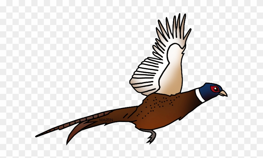 Free United States Clip Art By Phillip Martin, State - South Dakota's State Bird #280218