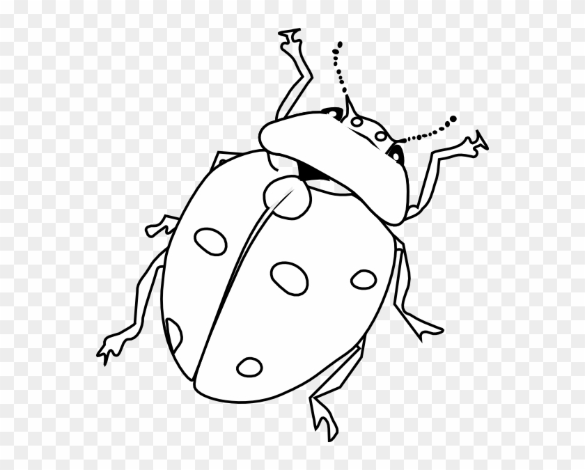 Ladybug Drawing Outline - Živali Na Travniku Pobarvanka #280283