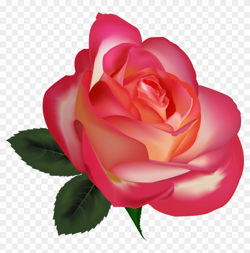Beautiful Rose Png Clipart Image - Beautiful Rose Png Clipart Image #280388