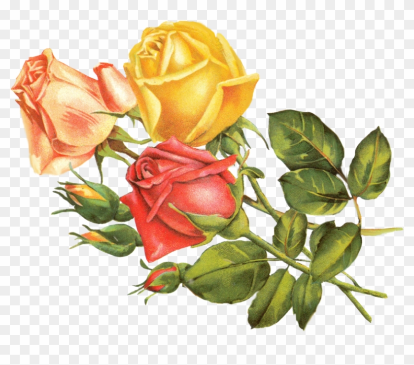 Vintage Flower Clipart Yellow Rose - Vintage Yellow Flowers Png #280398