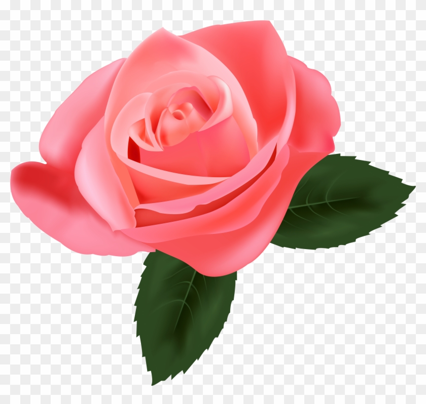 Pink Rose Png Clipart - Pink Rose Png #280417