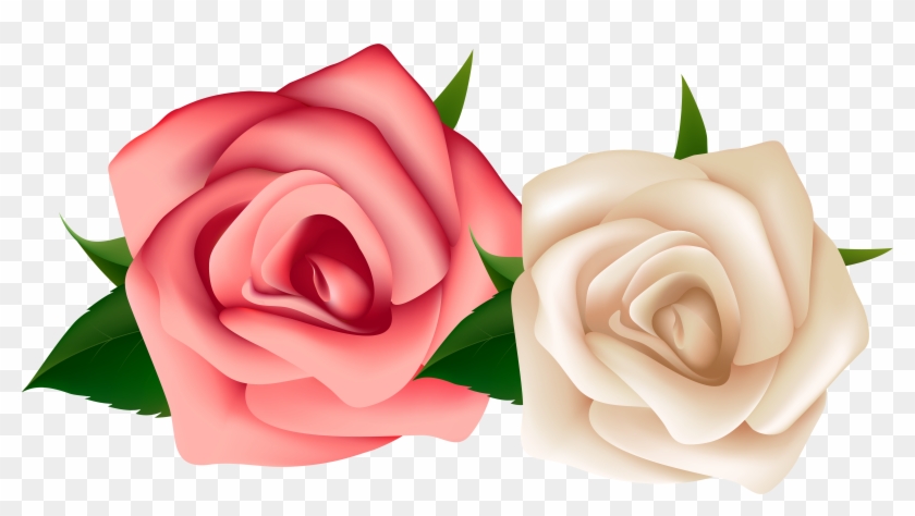 White Rose Clipart - Red And White Rose Png #280454