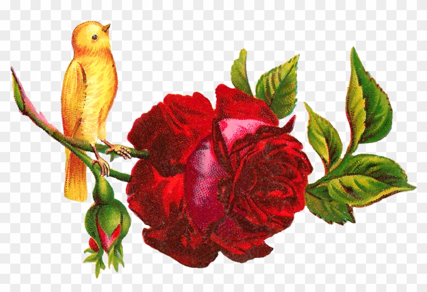 Yellow Rose Clipart Red - Clip Art #280457