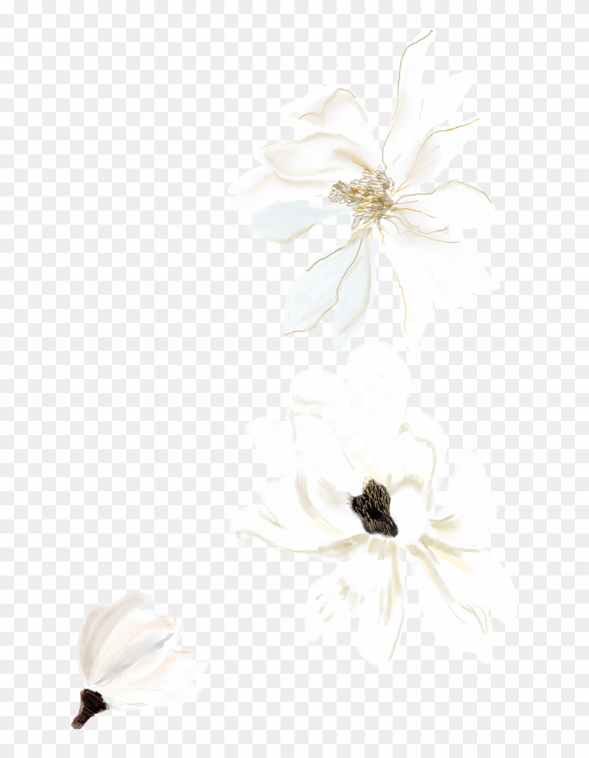 Watercolor Painting White Drawing - Weiß Gemaltes Magnolien-goldmonogramm Kissen #280471