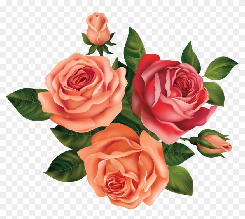Beautiful Roses Clipart Image - Roses Clipart #280484