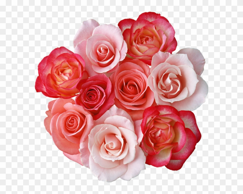 Bouquet Of Roses Clipart Clipartfox - Rose Flowers Clipart Png #280524