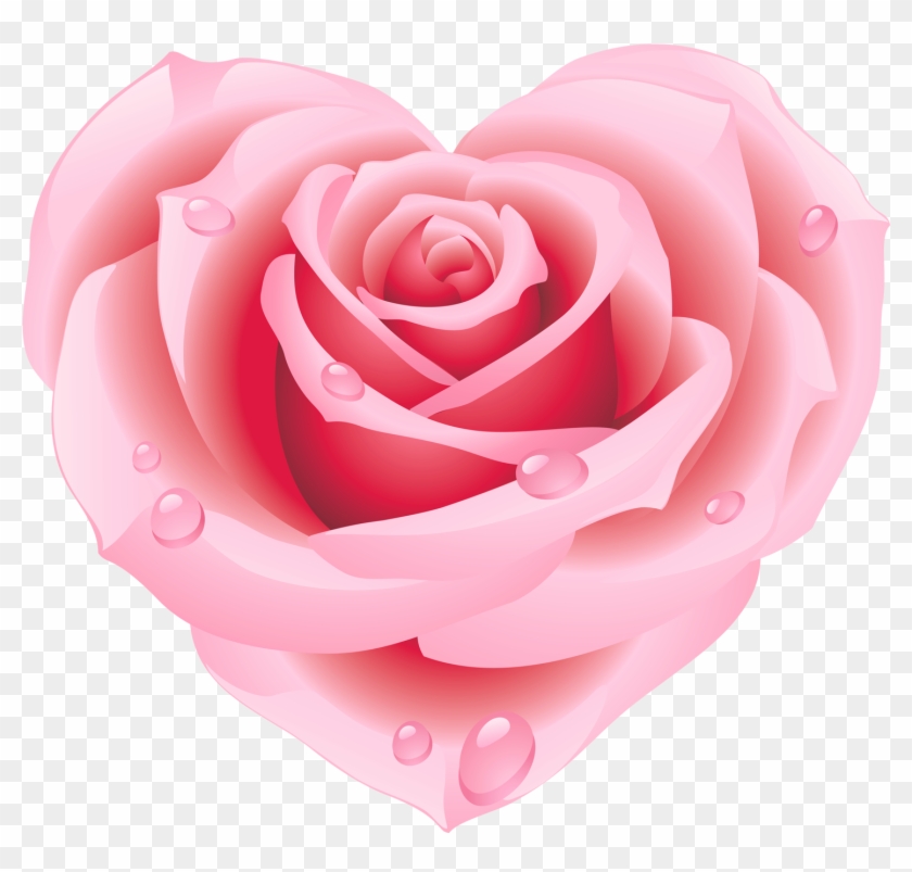 Pink Rose Clip Art - Pink Rose Clip Art #280537