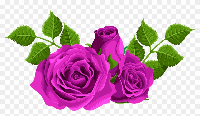 Purple Rose Clipart - Pink Roses Png #280578