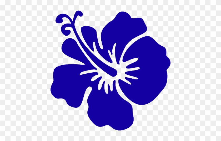 12 Mgctlbxl$c Mgctlbxp$prestashop - 12 Mgctlbxl$c Mgctlbxp$prestashop #280571