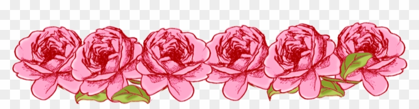Pink Rose Clipart Png Tumblr 17 - Flower Borders #280582