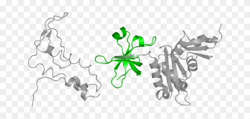 <div Class='caption-body'>1 Copy Of Cath Domain - Illustration #280794