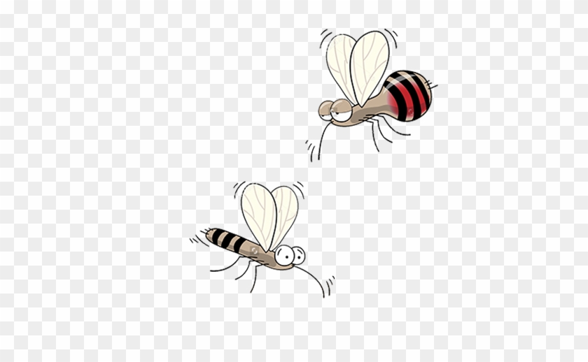 Mosquito Euclidean Vector Illustration - Mosquito Euclidean Vector Illustration #281009