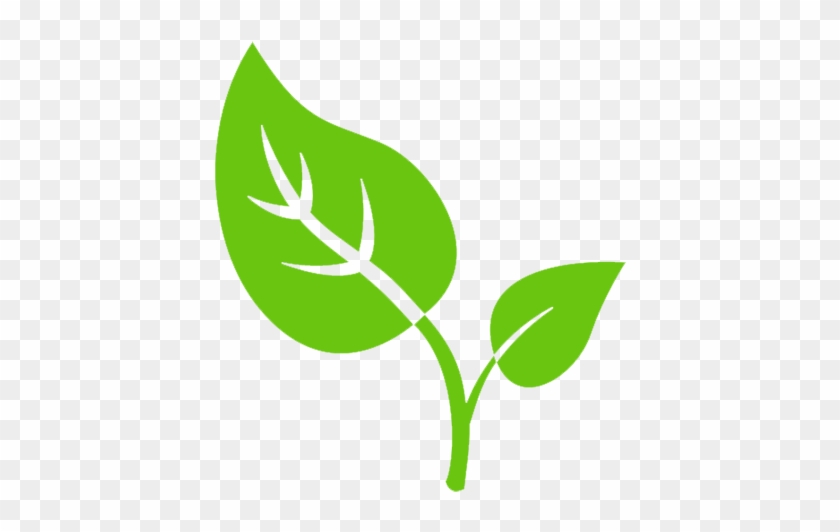 Graphics For Tobacco Leaf Graphics - Tobacco Leaf Icon Png #281279