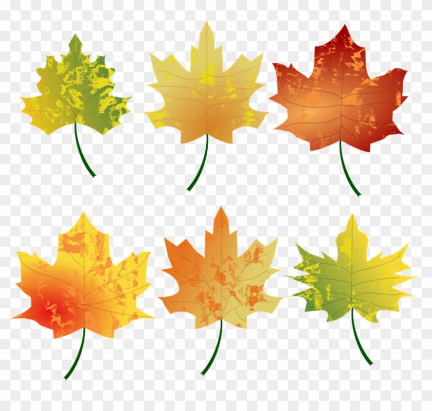 Autumn Leaves Clipart 13, Buy Clip Art - Autumn Leaves Clipart #281360