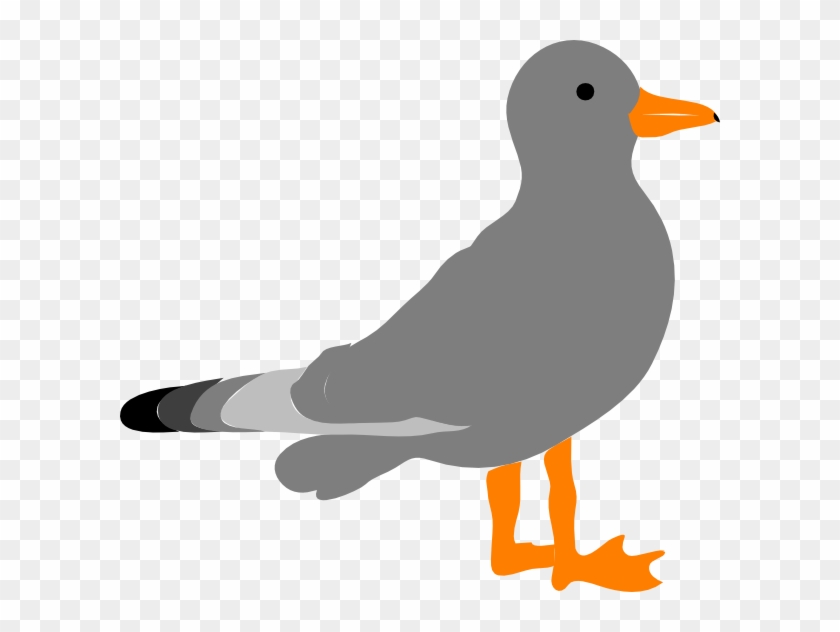 Sea Bird Clipart Seagull - Clip Art Gull #281489