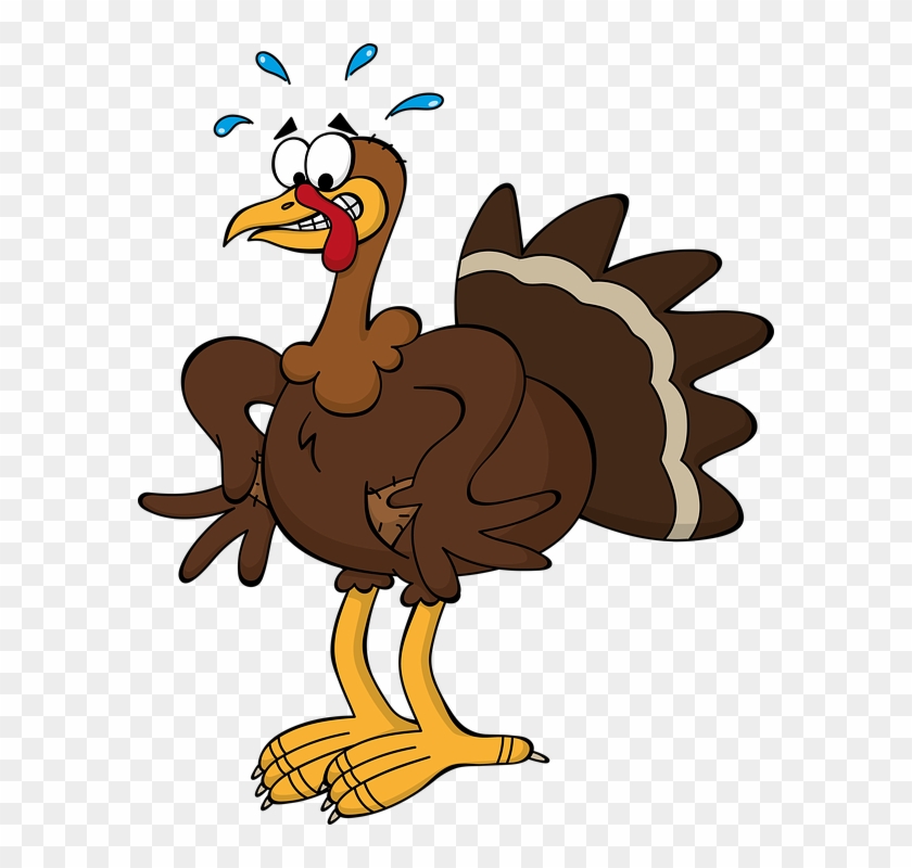 Funny Thanksgiving Clipart 9, - Clip Art Cartoon Turkey #281543