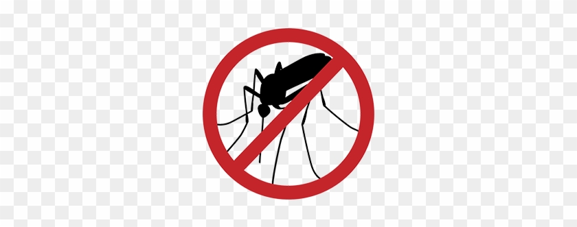 Broken Arrow Mosquito Control - Malaria Day #282719
