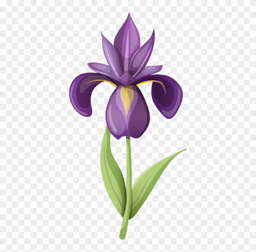 Flower Clipartwatercolor - Iris Flower Clip Art #282766