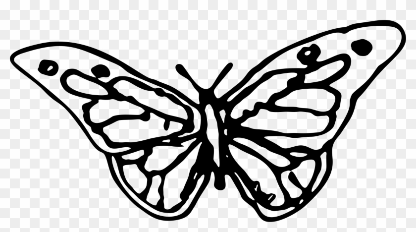 Hand Drawn Butterfly Silhouette - Hand Drawn Butterfly #283110