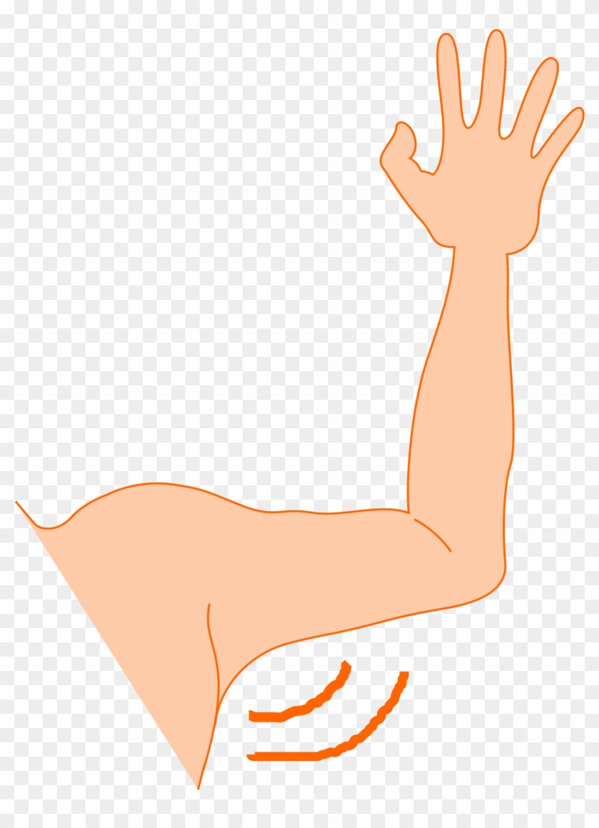 Hand Arm Clipart - Left Arm Clip Art #283343