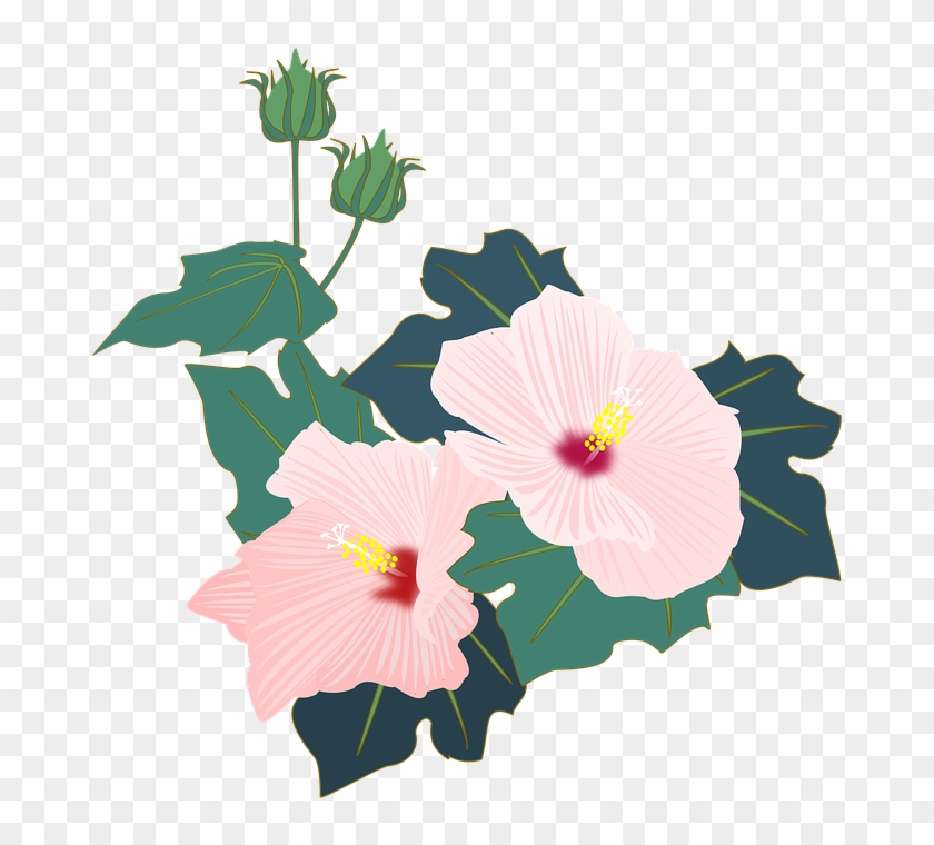 Cartoon Hibiscus Flower 26, Buy Clip Art - Pink Flowers #283832